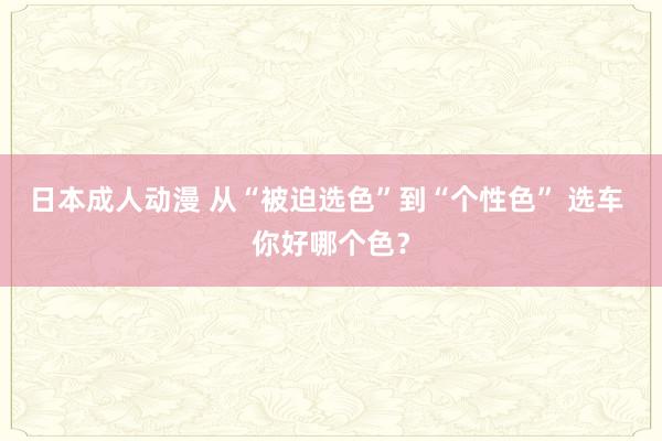 日本成人动漫 从“被迫选色”到“个性色” 选车 你好哪个色？