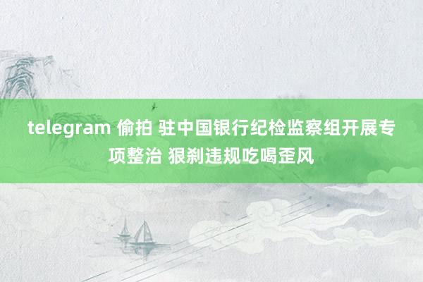 telegram 偷拍 驻中国银行纪检监察组开展专项整治 狠刹违规吃喝歪风