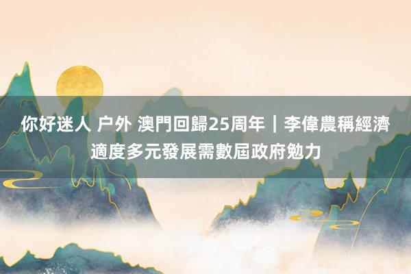 你好迷人 户外 澳門回歸25周年|李偉農稱經濟適度多元發展需數屆政府勉力