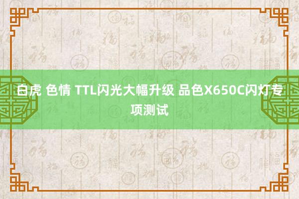 白虎 色情 TTL闪光大幅升级 品色X650C闪灯专项测试