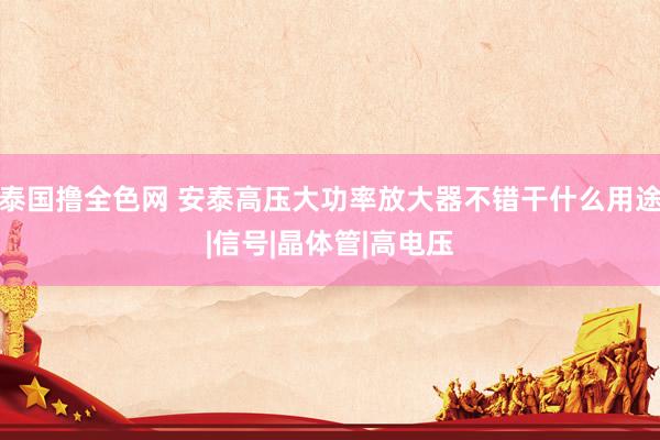 泰国撸全色网 安泰高压大功率放大器不错干什么用途|信号|晶体管|高电压