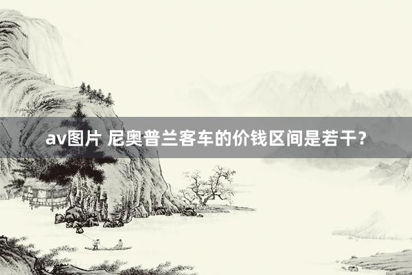 av图片 尼奥普兰客车的价钱区间是若干？