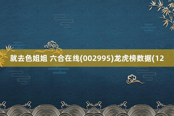 就去色姐姐 六合在线(002995)龙虎榜数据(12