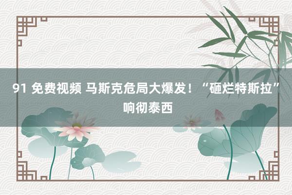 91 免费视频 马斯克危局大爆发！“砸烂特斯拉” 响彻泰西