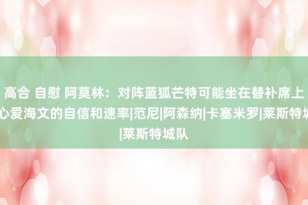 高合 自慰 阿莫林：对阵蓝狐芒特可能坐在替补席上 我心爱海文的自信和速率|范尼|阿森纳|卡塞米罗|莱斯特城队