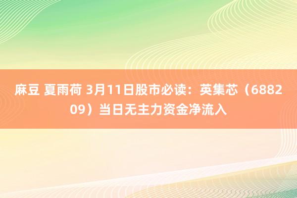 麻豆 夏雨荷 3月11日股市必读：英集芯（688209）当日无主力资金净流入