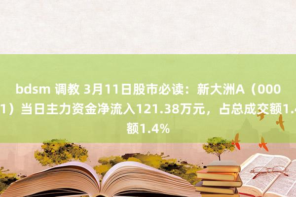 bdsm 调教 3月11日股市必读：新大洲A（000571）当日主力资金净流入121.38万元，占总成交额1.4%