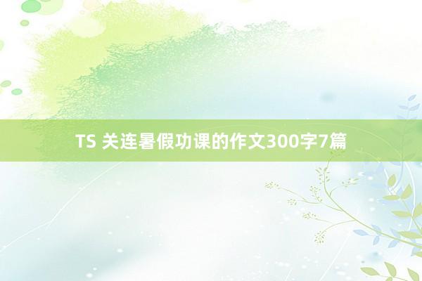 TS 关连暑假功课的作文300字7篇