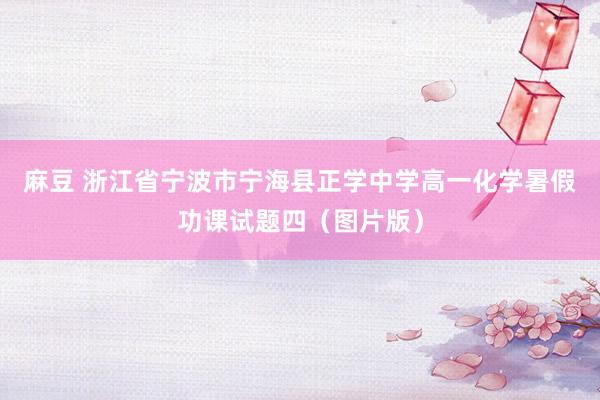 麻豆 浙江省宁波市宁海县正学中学高一化学暑假功课试题四（图片版）