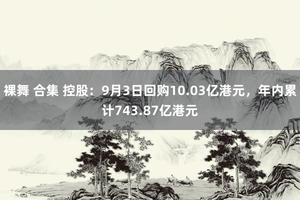 裸舞 合集 控股：9月3日回购10.03亿港元，年内累计743.87亿港元