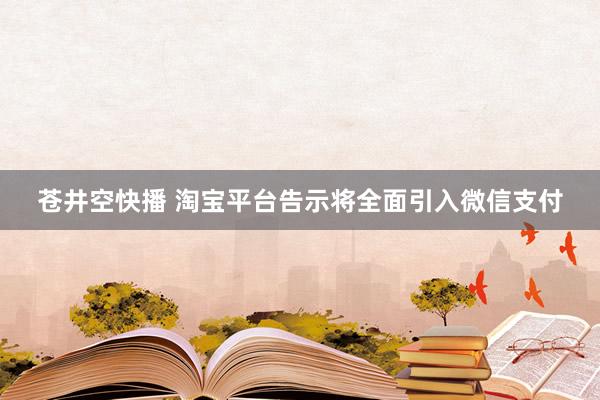 苍井空快播 淘宝平台告示将全面引入微信支付