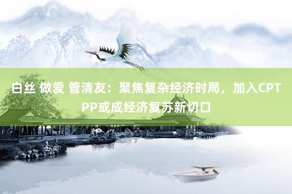 白丝 做爱 管清友：聚焦复杂经济时局，加入CPTPP或成经济复苏新切口