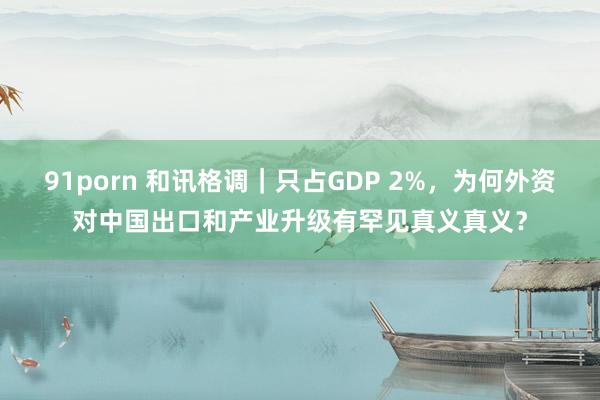 91porn 和讯格调｜只占GDP 2%，为何外资对中国出口和产业升级有罕见真义真义？