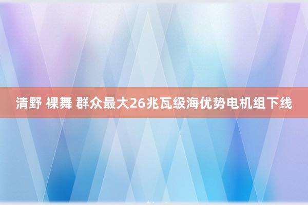 清野 裸舞 群众最大26兆瓦级海优势电机组下线