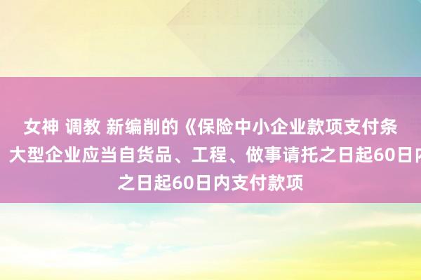 女神 调教 新编削的《保险中小企业款项支付条例》公布：大型企业应当自货品、工程、做事请托之日起60日内支付款项